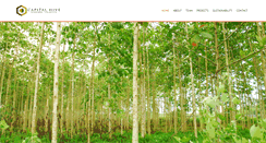 Desktop Screenshot of capital-hive.com